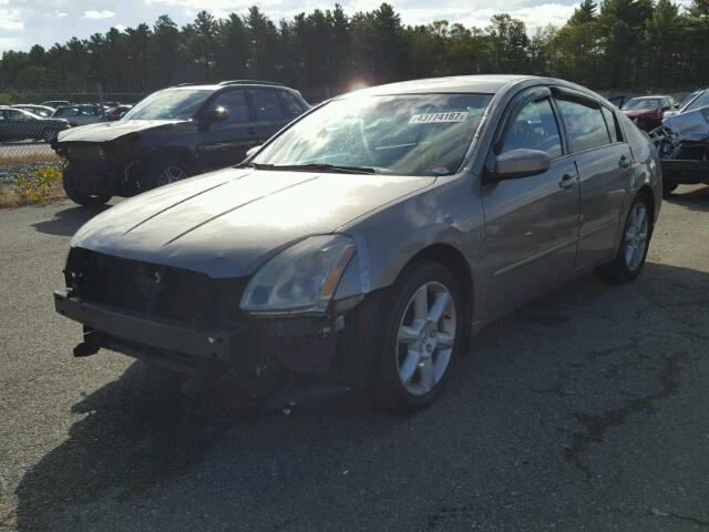 1N4BA41E14C890736 - 2004 NISSAN MAXIMA GRAY photo 2