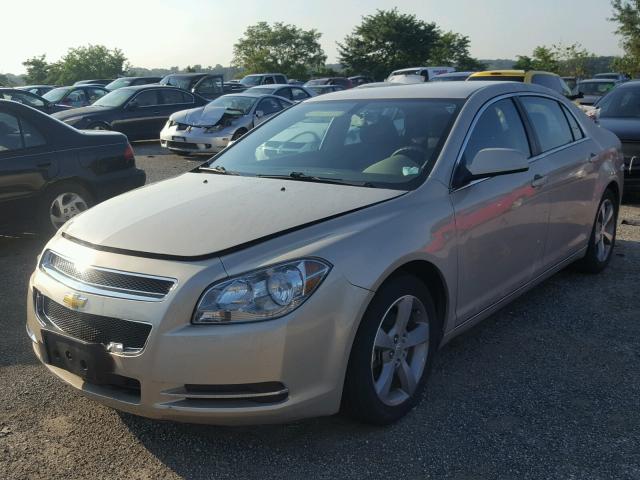 1G1ZC5E13BF309032 - 2011 CHEVROLET MALIBU 1LT BEIGE photo 2