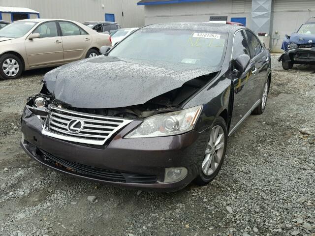 JTHBK1EG1A2361224 - 2010 LEXUS ES 350 BLACK photo 2