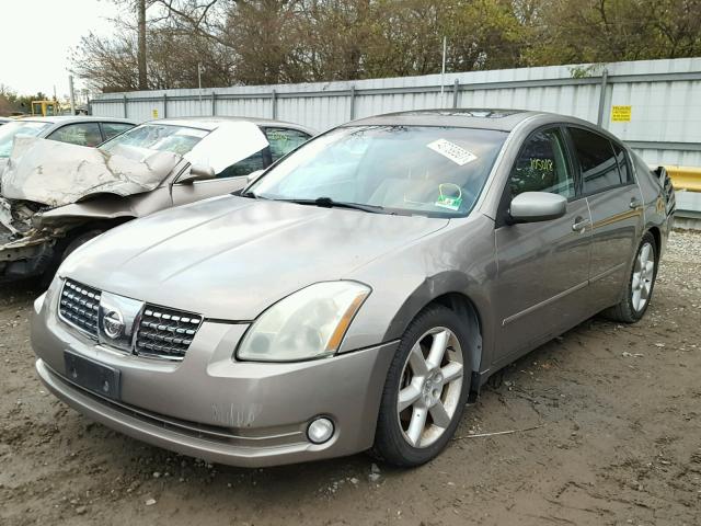 1N4BA41E94C927029 - 2004 NISSAN MAXIMA SE BEIGE photo 2