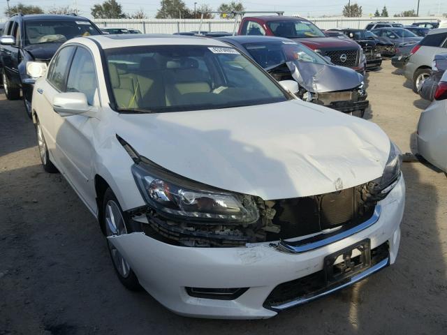 1HGCR3F86DA001169 - 2013 HONDA ACCORD EXL WHITE photo 1