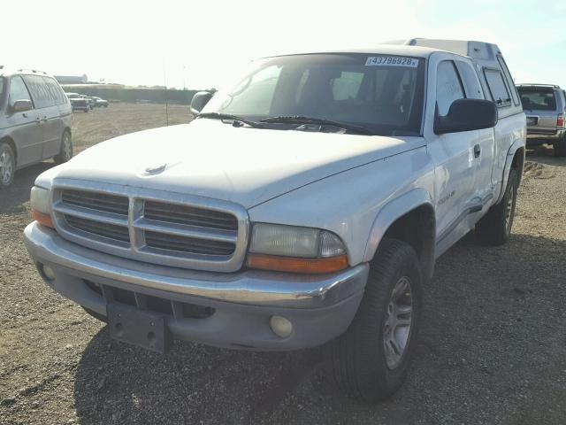 1B7GG22N81S227005 - 2001 DODGE DAKOTA WHITE photo 2