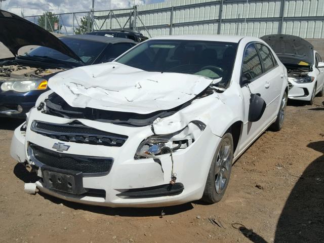 1G1ZA5EUXCF391066 - 2012 CHEVROLET MALIBU LS თეთრი ფოტო 2