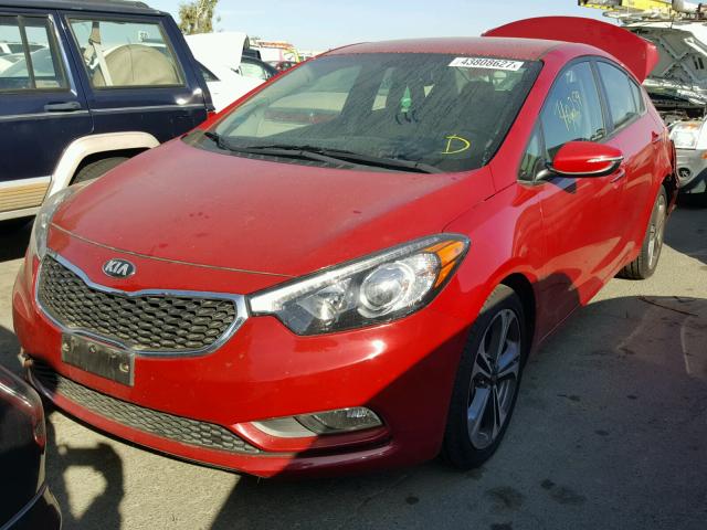 KNAFX4A88E5155498 - 2014 KIA FORTE EX RED photo 2