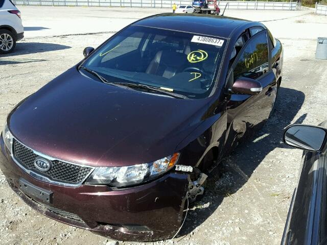 KNAFU4A20A5227776 - 2010 KIA FORTE EX MAROON photo 2