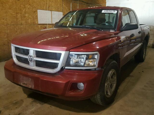 1D7HW38K79S805994 - 2009 DODGE DAKOTA SXT RED photo 2