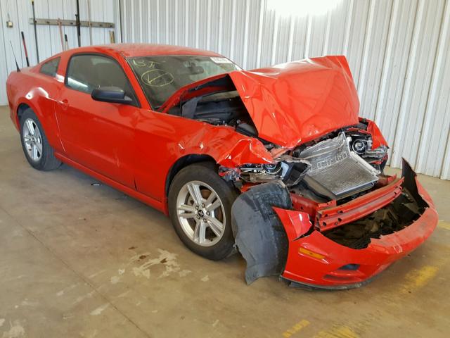 1ZVBP8AM1E5215155 - 2014 FORD MUSTANG RED photo 1