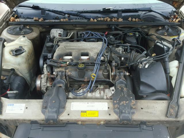 2G1WL52MXW9221739 - 1998 CHEVROLET LUMINA BAS თაფლისფერი ფოტო 7