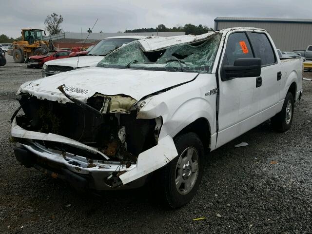 1FTEW1CM4EKD93246 - 2014 FORD F150 SUPER WHITE photo 2