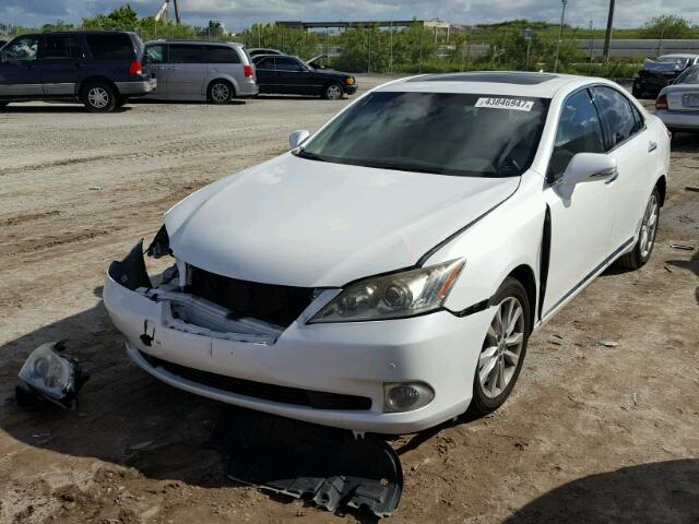 JTHBK1EG3A2412304 - 2010 LEXUS ES 350 WHITE photo 2