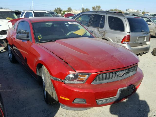 1ZVBP8AN4A5161529 - 2010 FORD MUSTANG RED photo 1