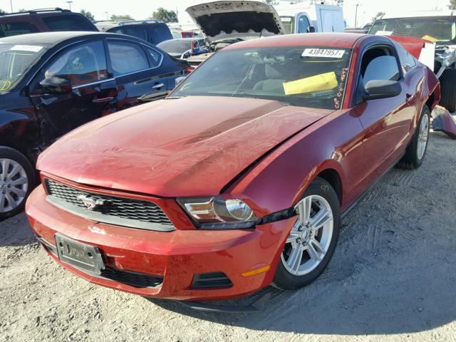 1ZVBP8AN4A5161529 - 2010 FORD MUSTANG RED photo 2
