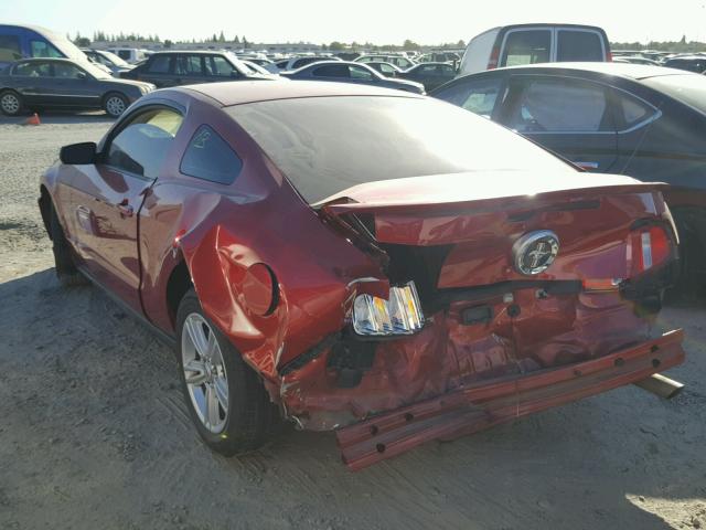 1ZVBP8AN4A5161529 - 2010 FORD MUSTANG RED photo 3