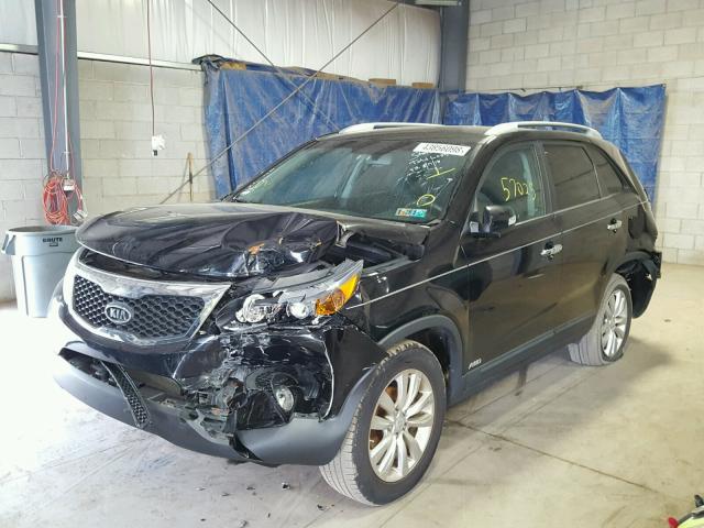 5XYKTDA27BG159926 - 2011 KIA SORENTO BA BLACK photo 2