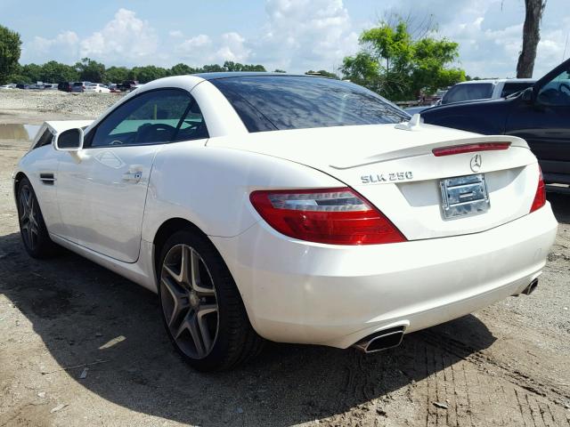 WDDPK4HA4EF084413 - 2014 MERCEDES-BENZ SLK 250 WHITE photo 3