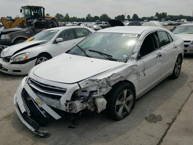 1G1ZC5EU3CF350420 - 2012 CHEVROLET MALIBU 1LT 白色 照片 2