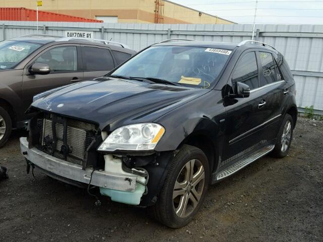 4JGBB2FB4BA674975 - 2011 MERCEDES-BENZ ML 350 BLU BLACK photo 2