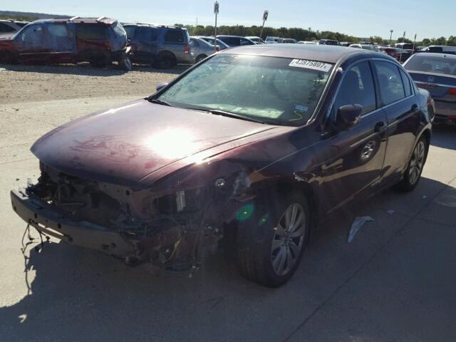 1HGCP2F79CA210332 - 2012 HONDA ACCORD EX MAROON photo 2