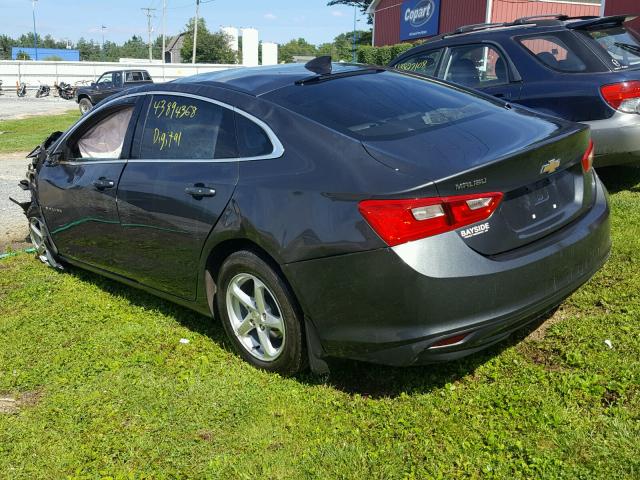 1G1ZB5ST8HF123617 - 2017 CHEVROLET MALIBU LS Boz foto 3