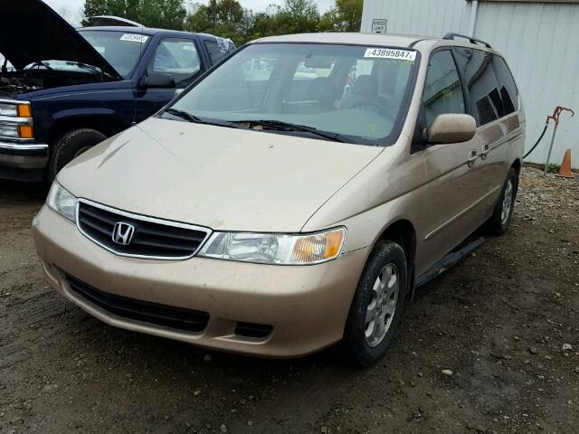 2HKRL18012H589946 - 2002 HONDA ODYSSEY GOLD photo 2