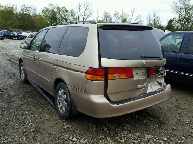 2HKRL18012H589946 - 2002 HONDA ODYSSEY GOLD photo 3