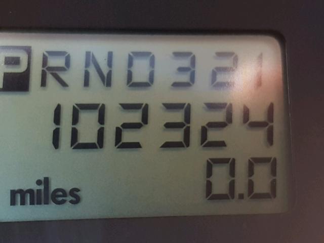 3VWDD21C53M404081 - 2003 VOLKSWAGEN NEW BEETLE ვერცხლისფერი ფოტო 8