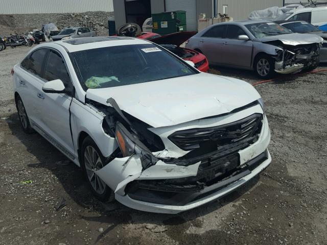 5NPE34AF7GH341822 - 2016 HYUNDAI SONATA SPO WHITE photo 1