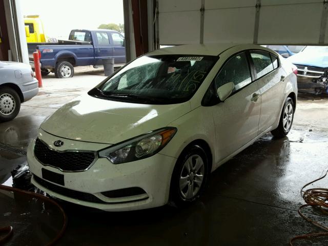 KNAFK4A60G5615737 - 2016 KIA FORTE LX WHITE photo 2