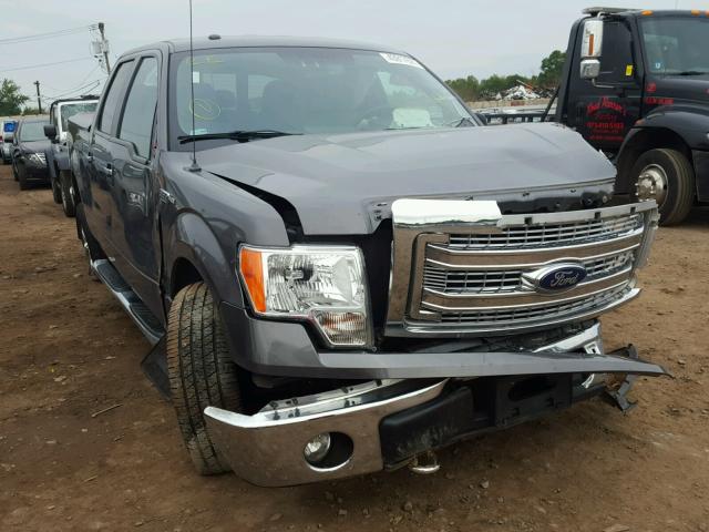 1FTFW1EF1DKD50792 - 2013 FORD F150 SUPER GRAY photo 1