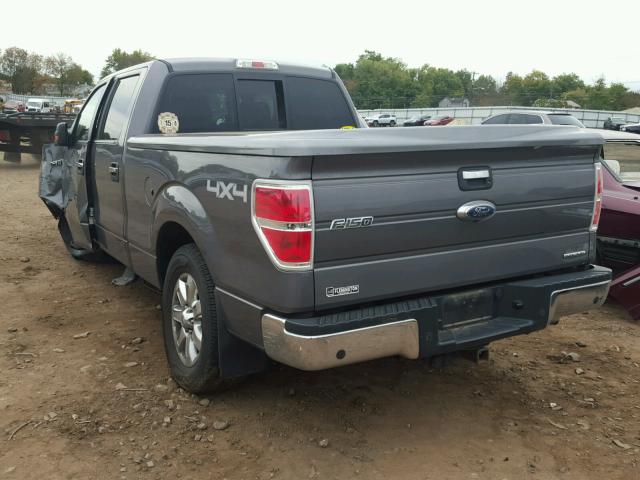 1FTFW1EF1DKD50792 - 2013 FORD F150 SUPER GRAY photo 3