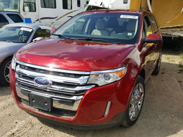 2FMDK3K92DBA47586 - 2013 FORD EDGE LIMIT MAROON photo 2