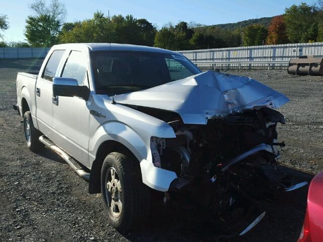 1FTEW1CM7DFB66947 - 2013 FORD F150 SUPER SILVER photo 1