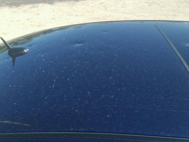 1G1ZE5E79A4111287 - 2010 CHEVROLET MALIBU LTZ 蓝色 照片 9