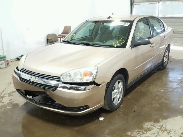 1G1ZT54855F256496 - 2005 CHEVROLET MALIBU LS ოქროსფერი ფოტო 2