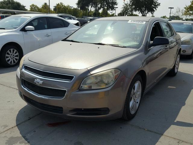 1G1ZA5EBXAF215422 - 2010 CHEVROLET MALIBU LS Qəhvəyi foto 2