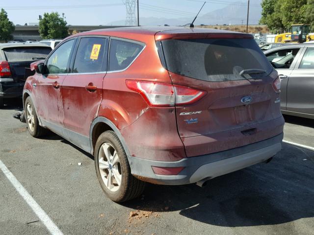 1FMCU0G92GUC29557 - 2016 FORD ESCAPE SE RED photo 3