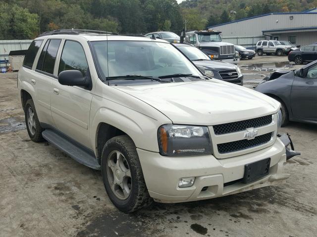 1GNDT33S292103209 - 2009 CHEVROLET TRAILBLAZE CREAM photo 1