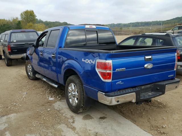 1FTFW1EF6DFC03702 - 2013 FORD F150 SUPER BLUE photo 3