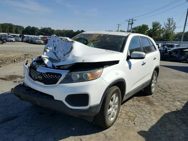 5XYKT3A16BG034286 - 2011 KIA SORENTO BA WHITE photo 2