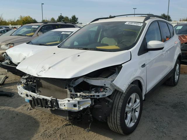 1FMCU0GX9EUB99839 - 2014 FORD ESCAPE SE WHITE photo 2