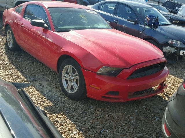 1ZVBP8AM7E5223809 - 2014 FORD MUSTANG RED photo 1