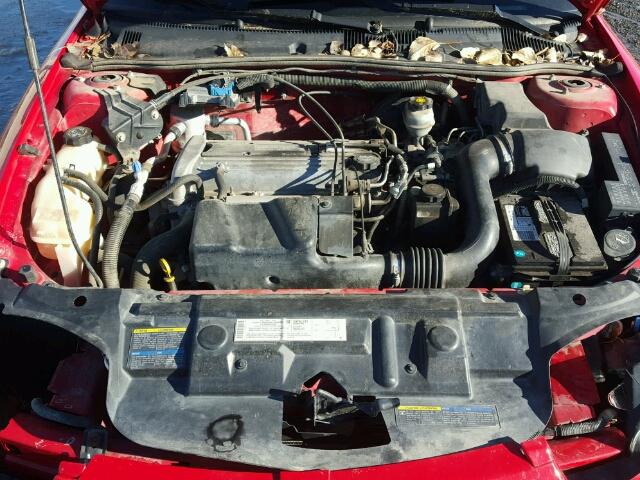 1G1JF52F147211702 - 2004 CHEVROLET CAVALIER L RED photo 7