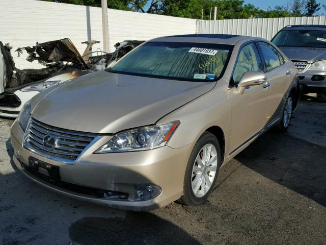 JTHBK1EG8C2499717 - 2012 LEXUS ES 350 GOLD photo 2