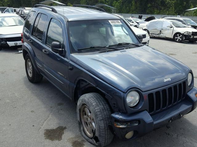 1J4GK58K72W354166 - 2002 JEEP LIBERTY LI BLUE photo 1