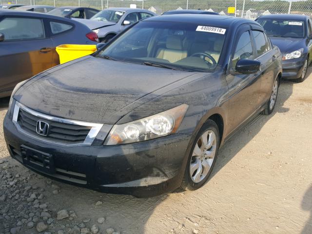 1HGCP26888A061136 - 2008 HONDA ACCORD EXL BLACK photo 2