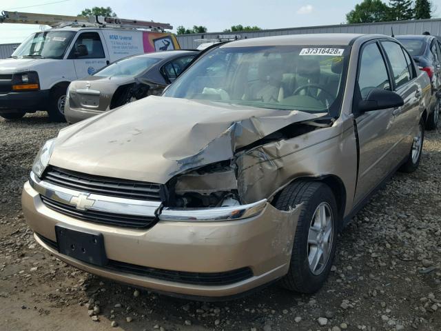 1G1ZT54814F117836 - 2004 CHEVROLET MALIBU LS თაფლისფერი ფოტო 2