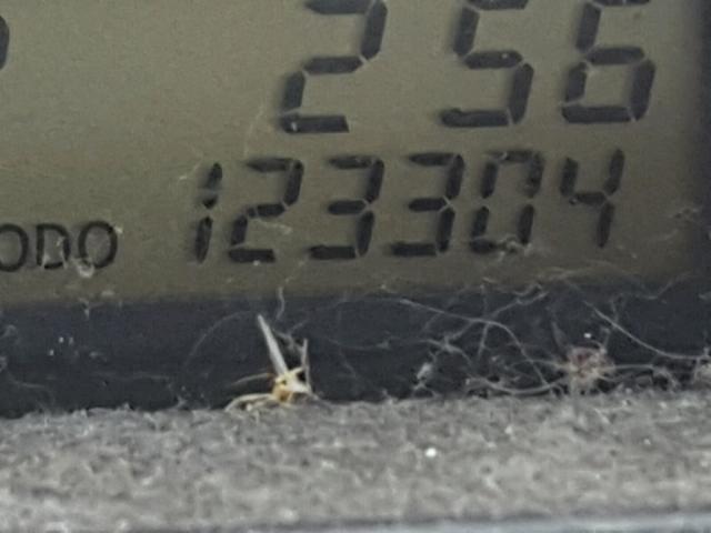 JTKKT604450089352 - 2005 TOYOTA SCION XA მუქწითელი ფოტო 8