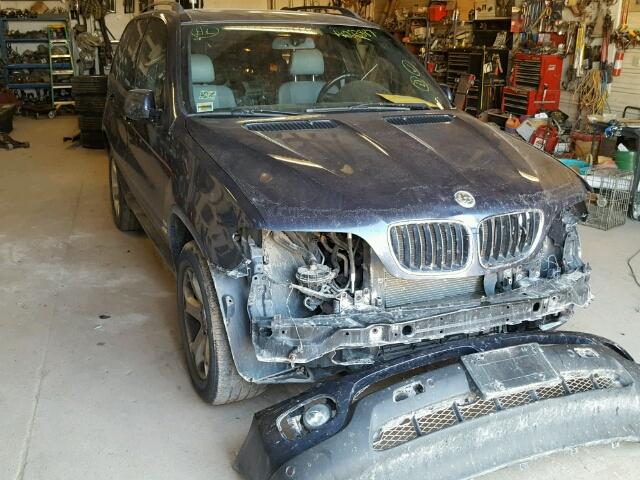 5UXFA13596LY44757 - 2006 BMW X5 3.0I BLUE photo 1