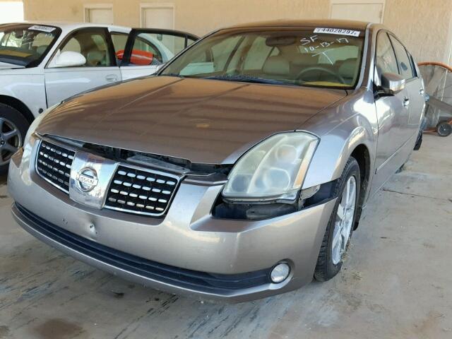 1N4BA41E04C909342 - 2004 NISSAN MAXIMA GOLD photo 2