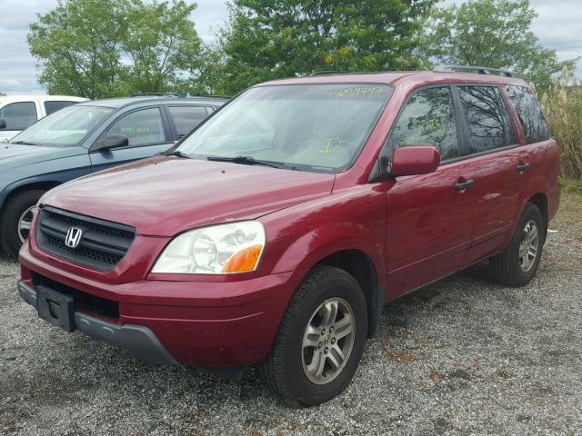 5FNYF18665B011495 - 2005 HONDA PILOT RED photo 2